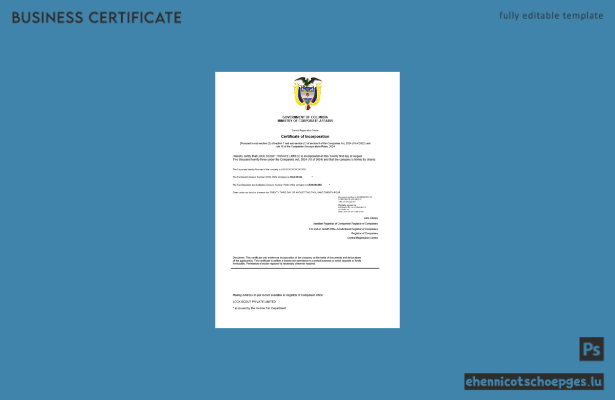Beispielansicht der kolumbianischen Registrierungsurkunde (Word- und PDF-Format)